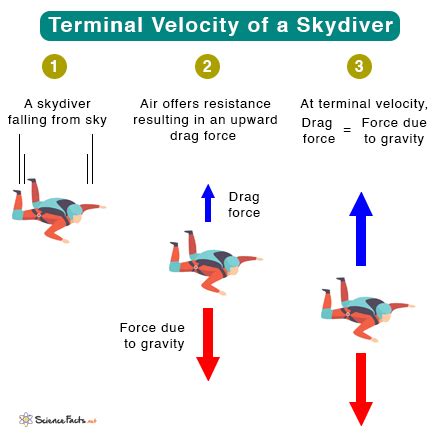 Skydiver in freefall, with a speedometer indicating terminal velocity